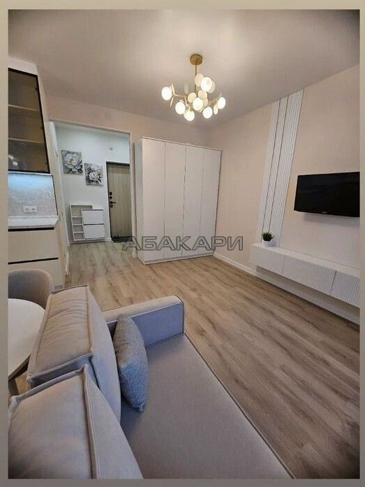студия Апрельская улица, 5К  за 35000 руб/мес фото 5