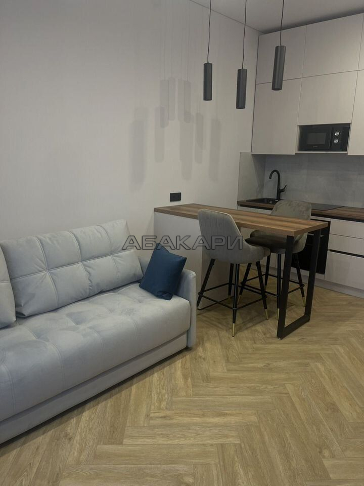студия Октябрьская улица, 16  за 40000 руб/мес фото 2