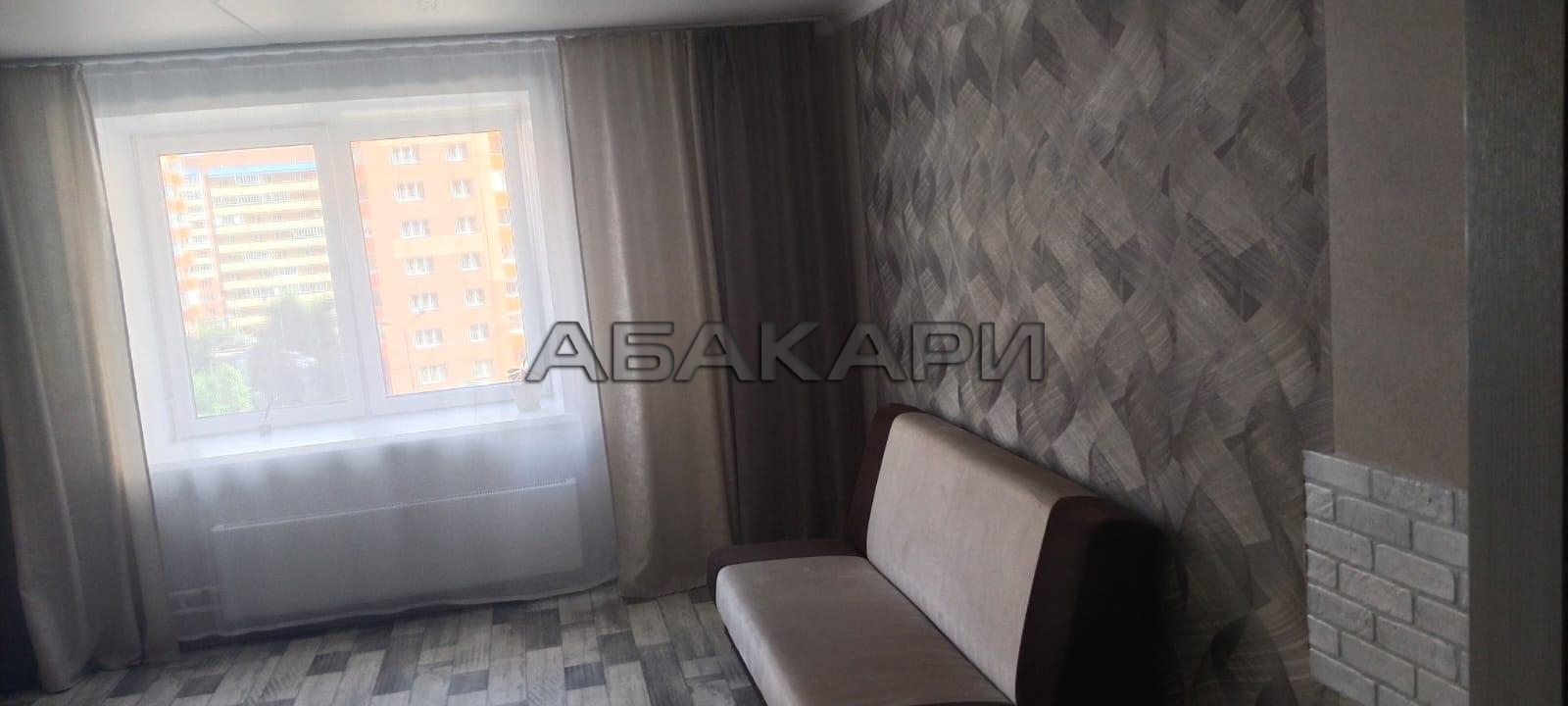 1-комнатная Соколовская улица, 54  за 25000 руб/мес фото 4