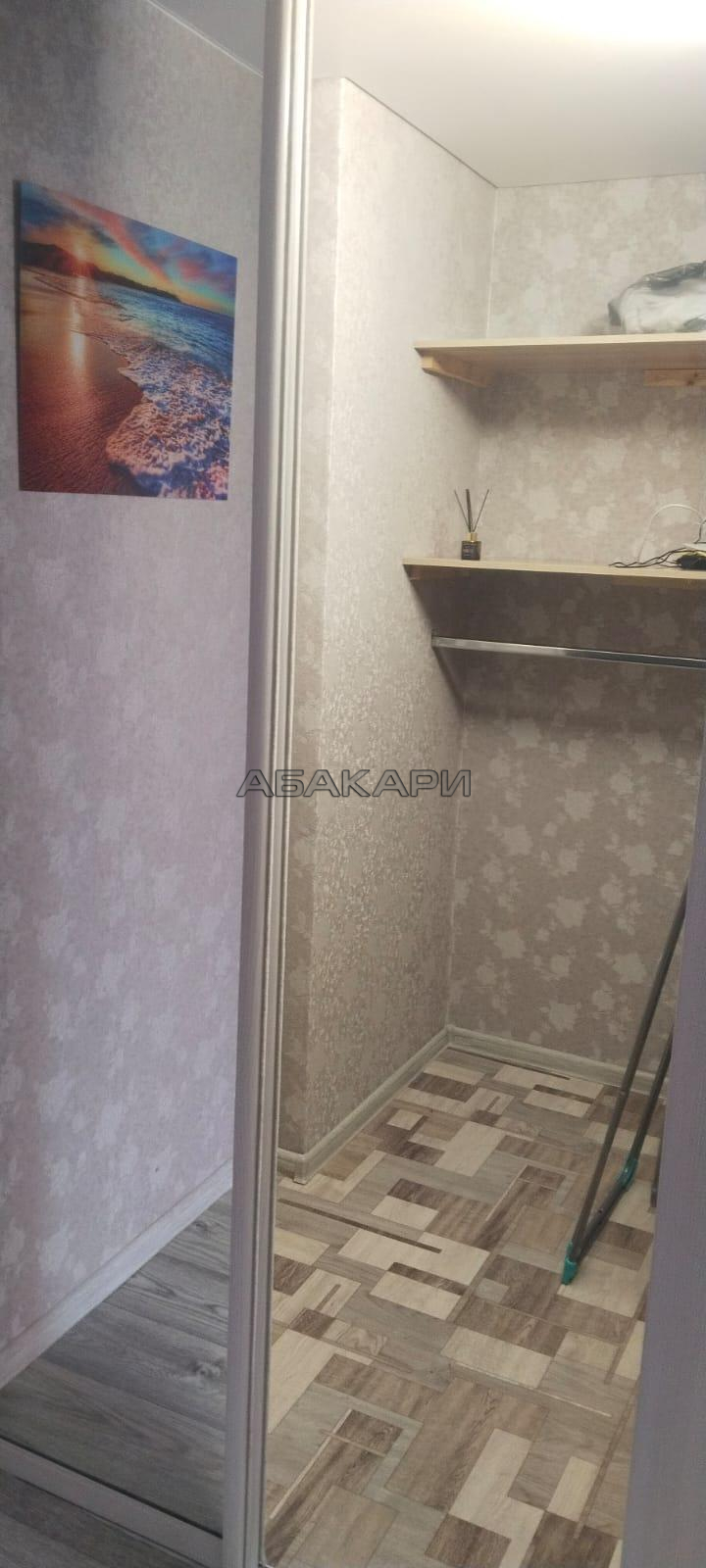 1-комнатная Соколовская улица, 54  за 25000 руб/мес фото 8