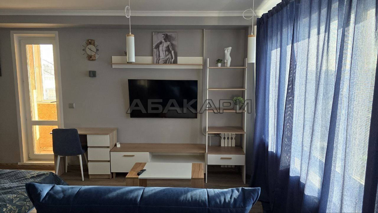 студия улица Карла Маркса, 47  за 50000 руб/мес фото 9