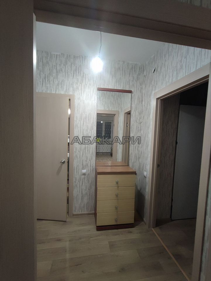 1-комнатная Караульная улица, 39В  за 30000 руб/мес фото 1