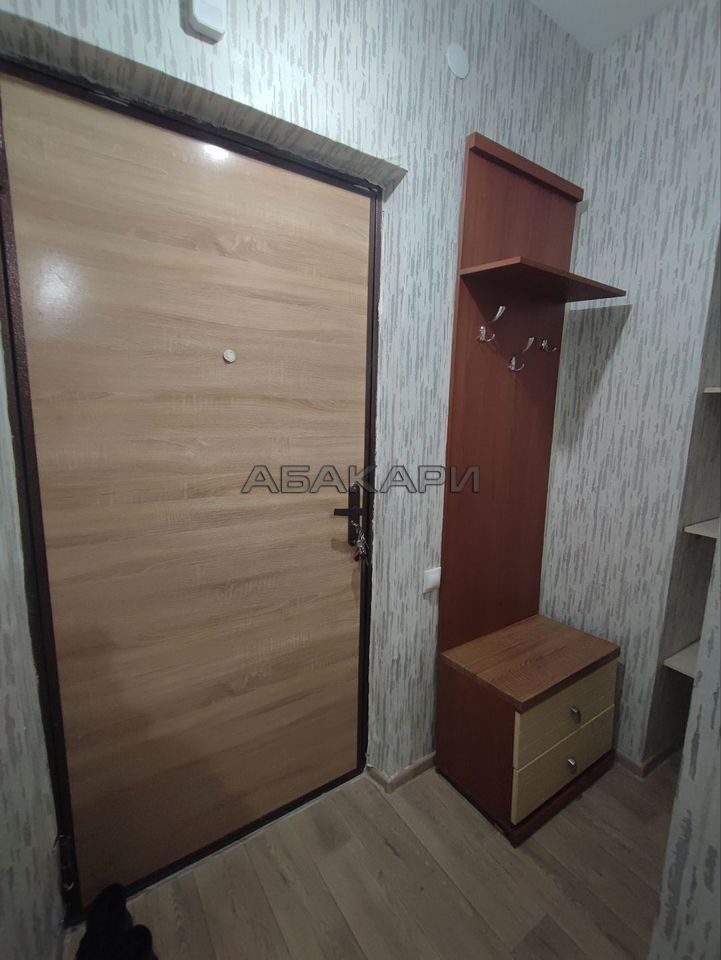 1-комнатная Караульная улица, 39В  за 30000 руб/мес фото 2