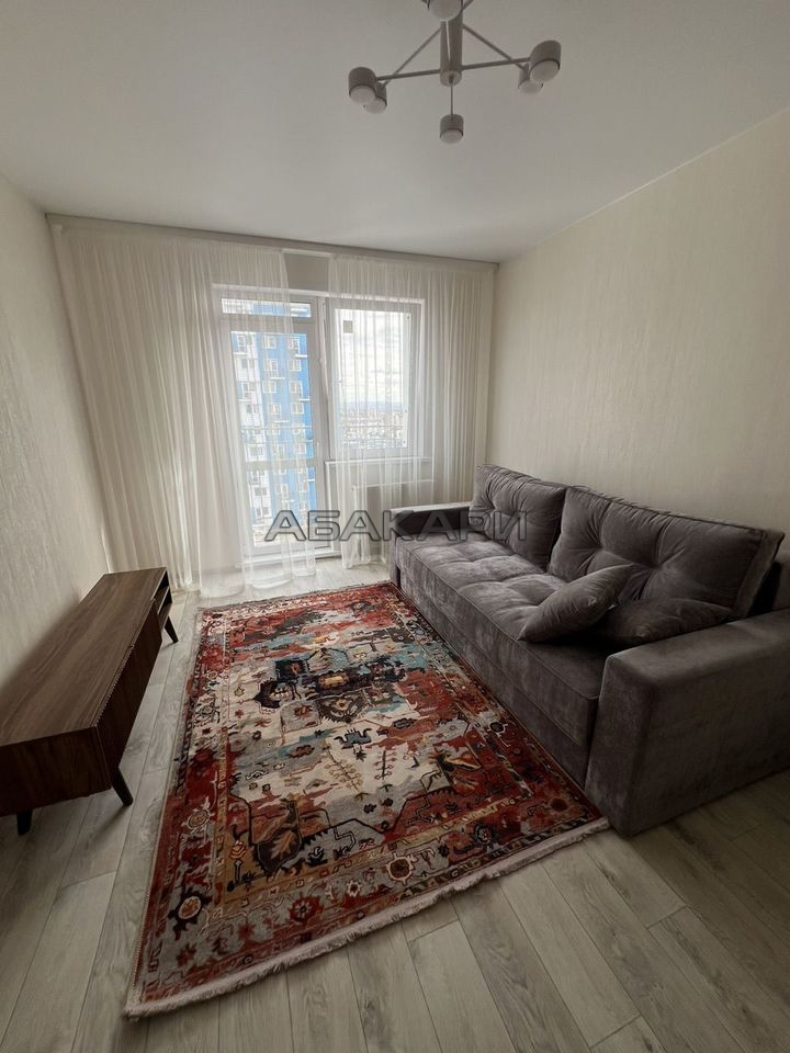 1-комнатная улица Петра Подзолкова, 22  за 35000 руб/мес фото 9