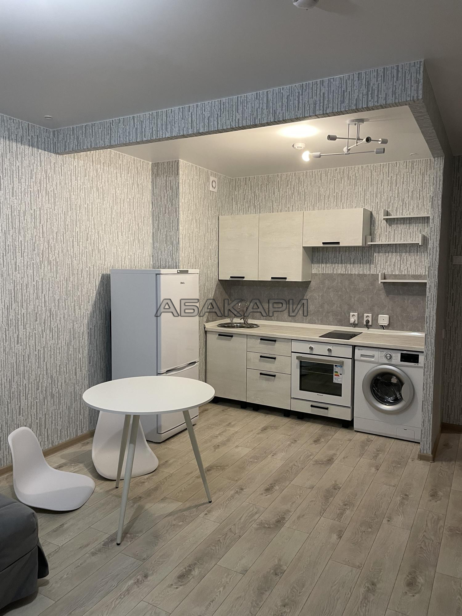 студия Судостроительная улица, 31К  за 30000 руб/мес фото 1