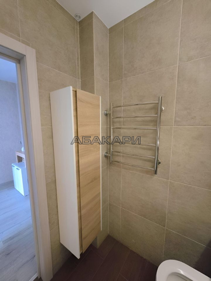 1-комнатная Октябрьская улица, 10  за 50000 руб/мес фото 18