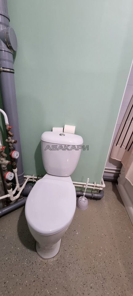 студия улица Алексеева, 3  за 24000 руб/мес фото 6