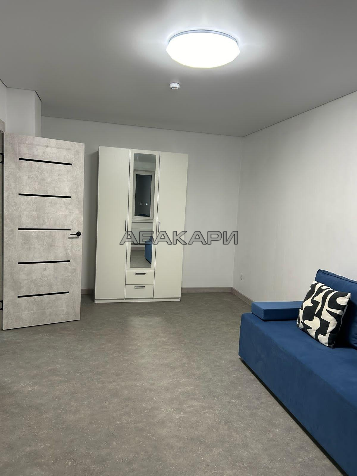 1-комнатная Соколовская улица, 74  за 26000 руб/мес фото 3