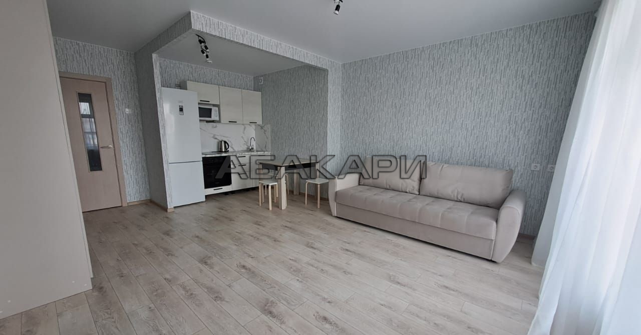 студия Судостроительная улица, 31И  за 25000 руб/мес фото 4
