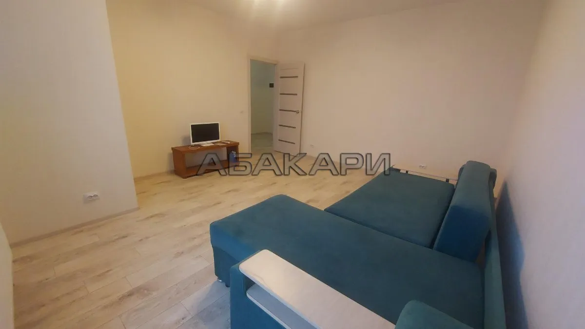 1-комнатная улица Петра Подзолкова, 20  за 30000 руб/мес фото 2