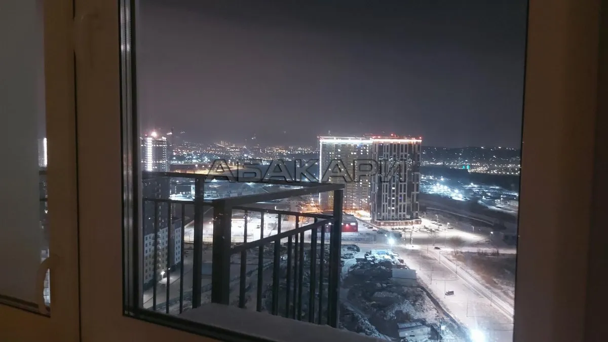 1-комнатная улица Петра Подзолкова, 20  за 30000 руб/мес фото 5