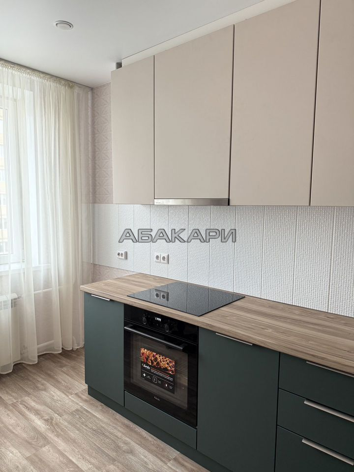2-комнатная Дудинская улица, 2Е  за 45000 руб/мес фото 1