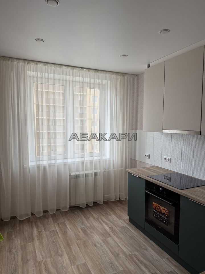 2-комнатная Дудинская улица, 2Е  за 45000 руб/мес фото 3