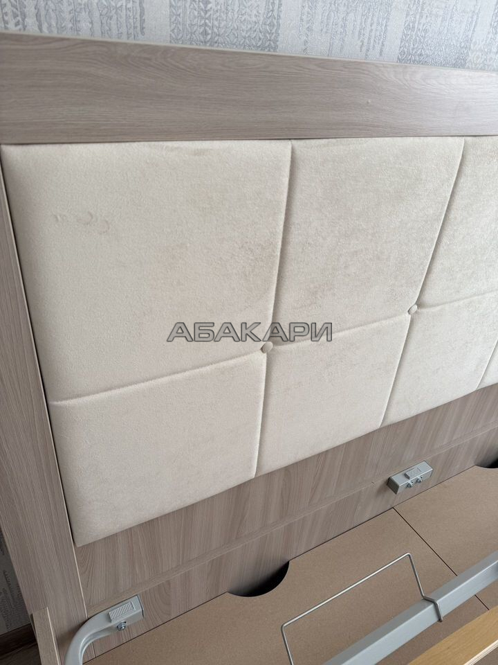 2-комнатная Дудинская улица, 2Е  за 45000 руб/мес фото 4