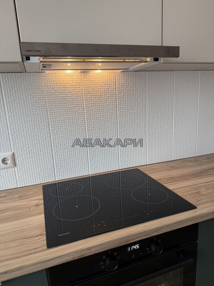 2-комнатная Дудинская улица, 2Е  за 45000 руб/мес фото 6