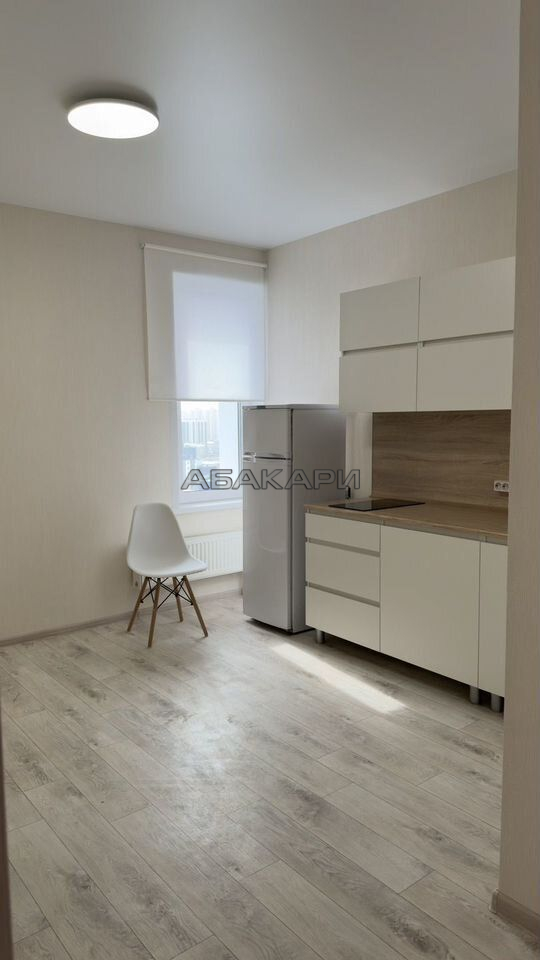 2-комнатная улица Петра Подзолкова, 22  за 40000 руб/мес фото 2