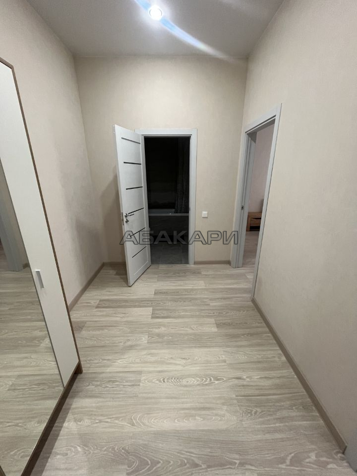 2-комнатная улица Петра Подзолкова, 12  за 45000 руб/мес фото 3