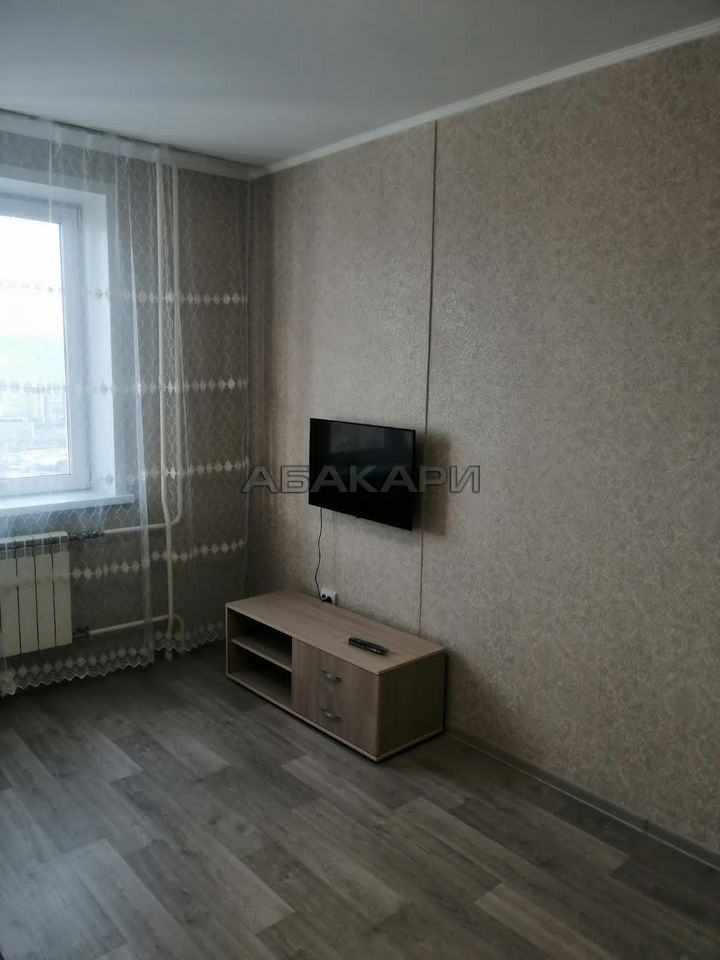 1-комнатная Дудинская улица, 2Д  за 35000 руб/мес фото 4