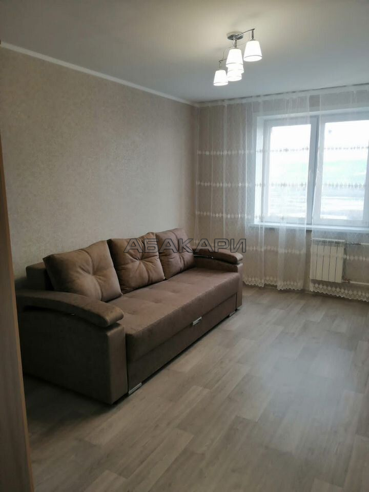 1-комнатная Дудинская улица, 2Д  за 35000 руб/мес фото 3