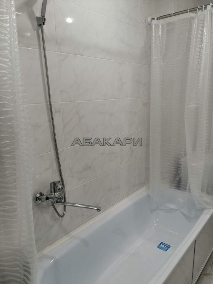 1-комнатная Дудинская улица, 2Д  за 35000 руб/мес фото 7