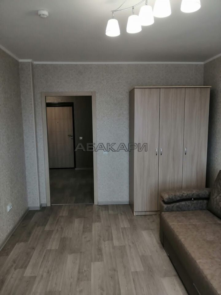 1-комнатная Дудинская улица, 2Д  за 35000 руб/мес фото 8
