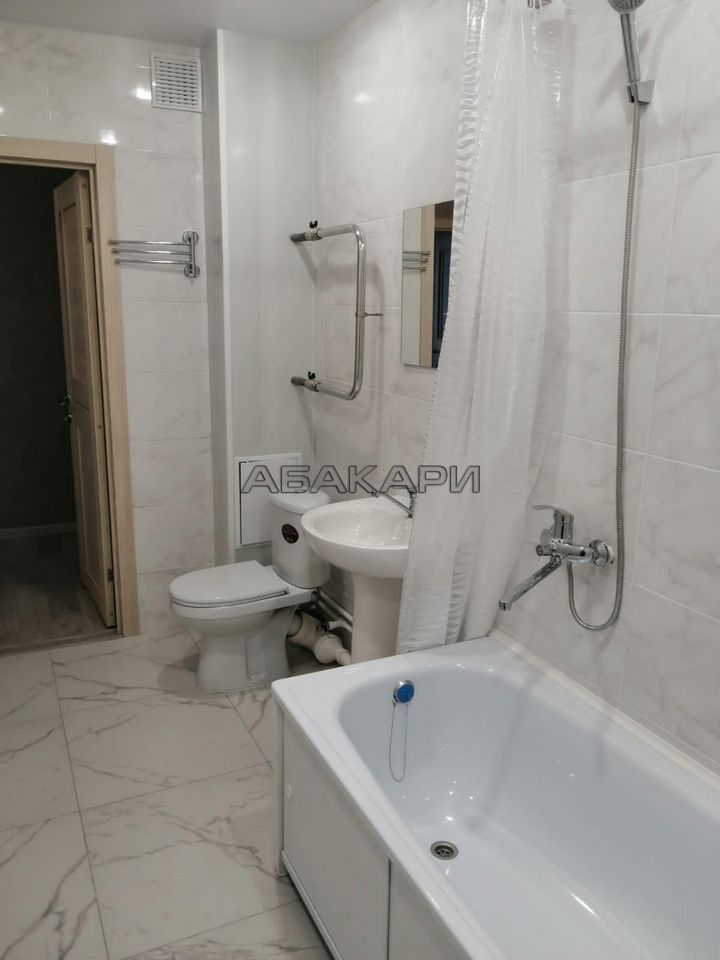 1-комнатная Дудинская улица, 2Д  за 35000 руб/мес фото 11