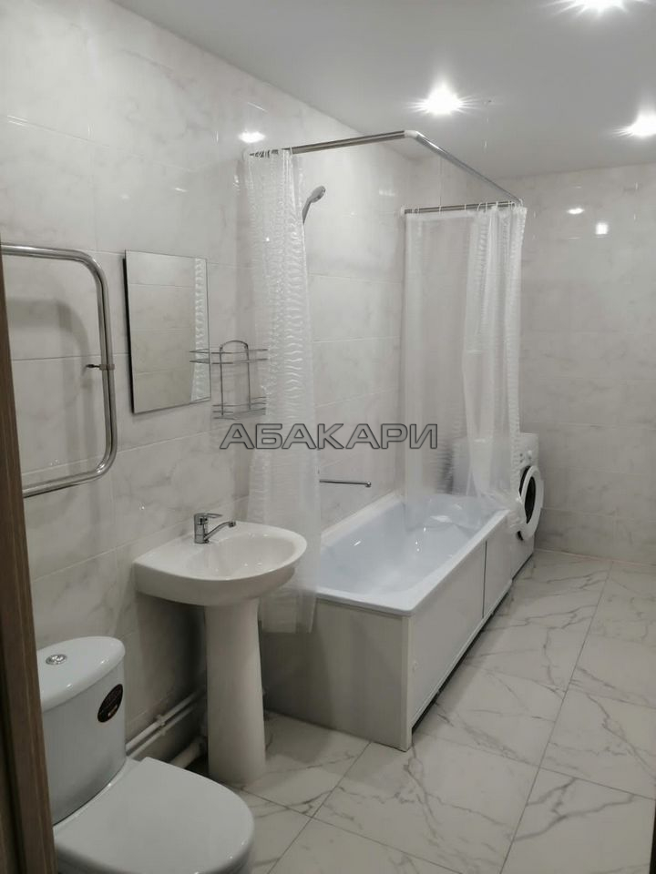 1-комнатная Дудинская улица, 2Д  за 35000 руб/мес фото 12