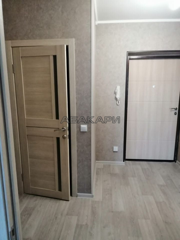 1-комнатная Дудинская улица, 2Д  за 35000 руб/мес фото 13