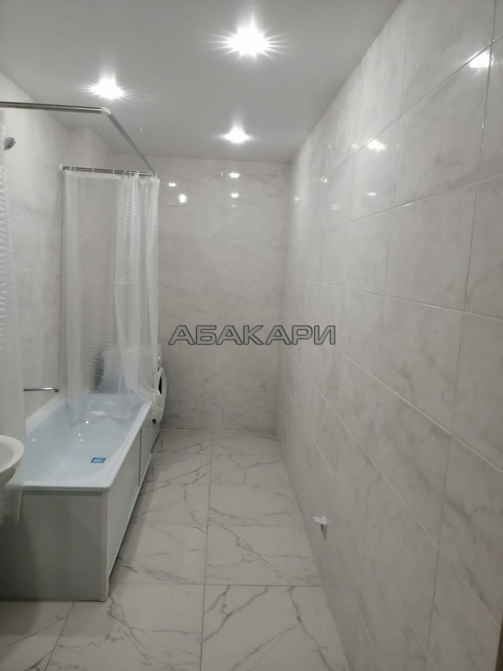 1-комнатная Дудинская улица, 2Д  за 35000 руб/мес фото 15
