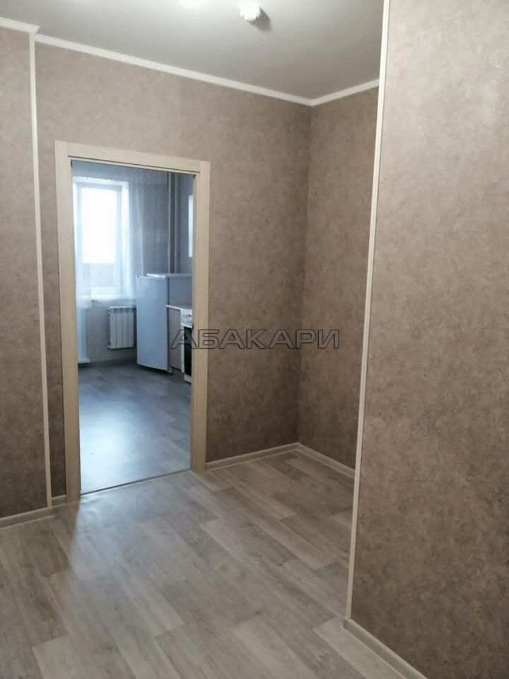 1-комнатная Дудинская улица, 2Д  за 35000 руб/мес фото 16