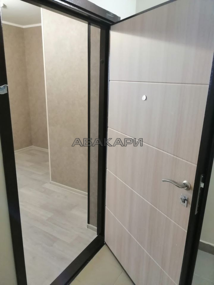 1-комнатная Дудинская улица, 2Д  за 35000 руб/мес фото 19