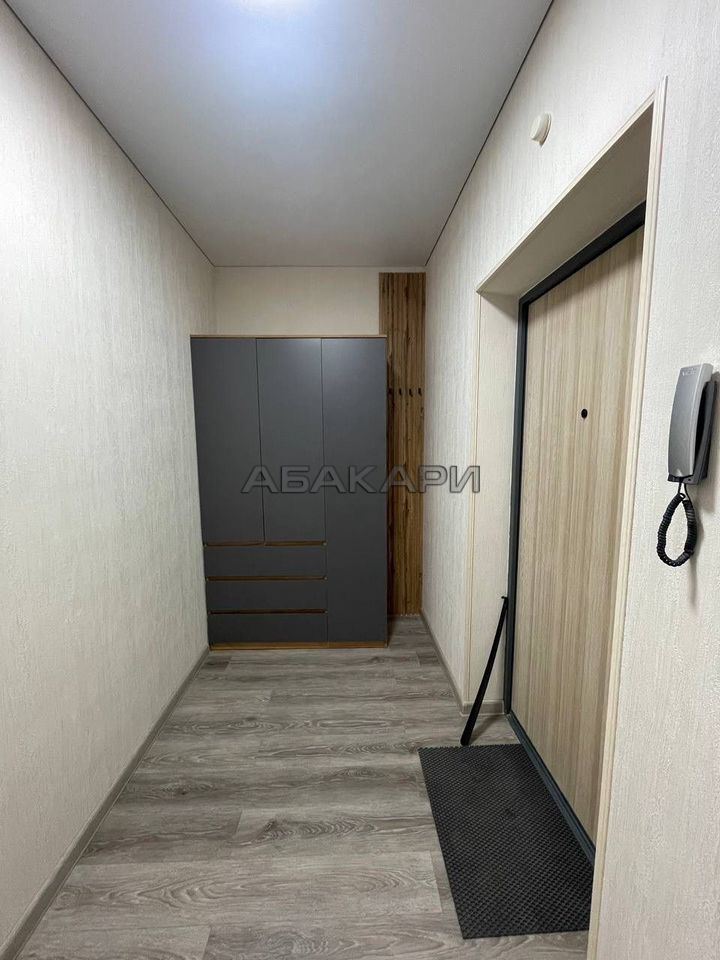 студия Аральская улица, 53А  за 30000 руб/мес фото 6