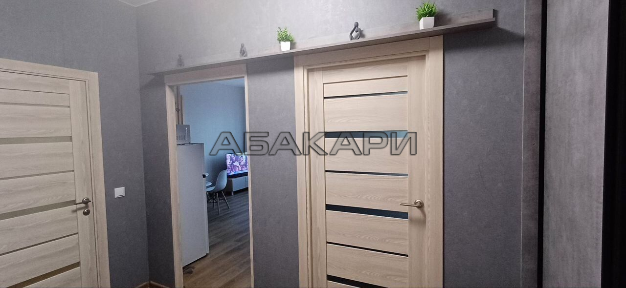 2-комнатная Южная набережная, 6  за 50000 руб/мес фото 25