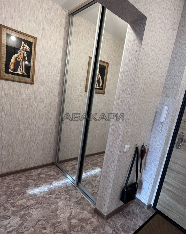 1-комнатная Светлогорский переулок, 22  за 35000 руб/мес фото 12