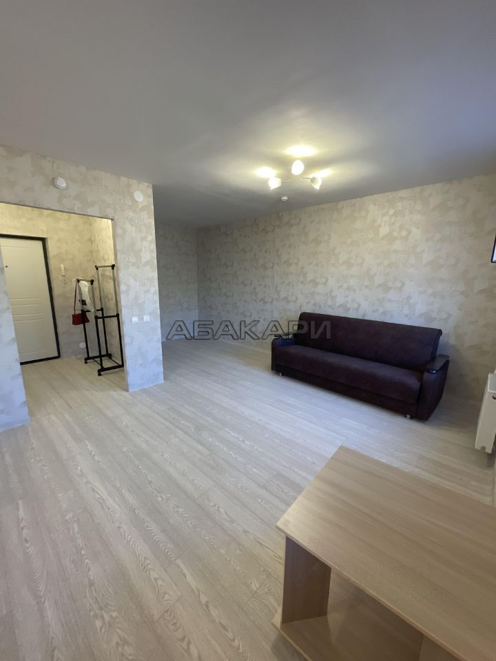 1-комнатная Соколовская улица, 20А  за 23000 руб/мес фото 2