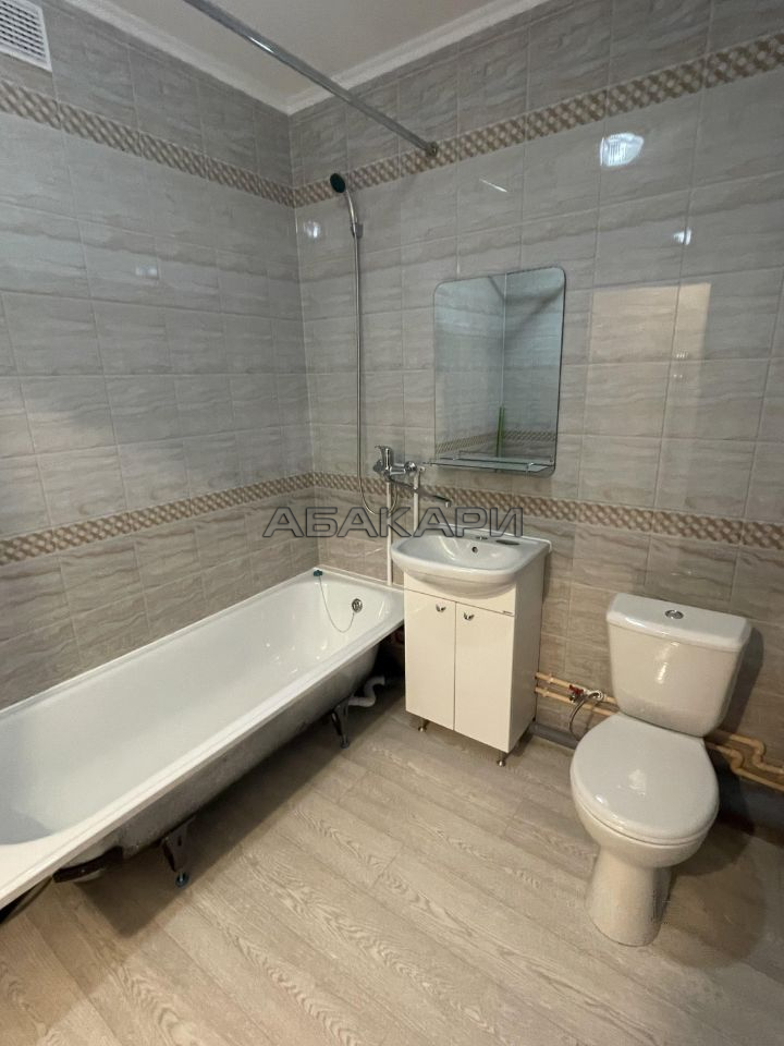 1-комнатная Соколовская улица, 20А  за 23000 руб/мес фото 3