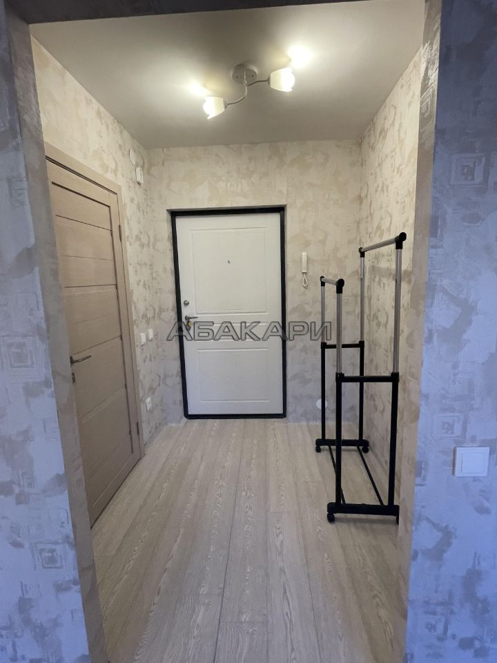 1-комнатная Соколовская улица, 20А  за 23000 руб/мес фото 4