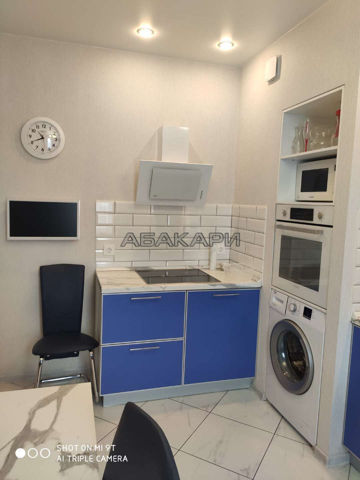 2-комнатная улица Алексеева, 46  за 39000 руб/мес фото 3