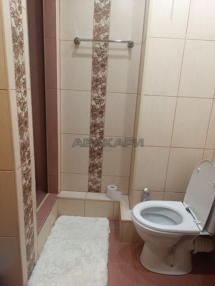 1-комнатная улица Дмитрия Мартынова, 9  за 35000 руб/мес фото 10