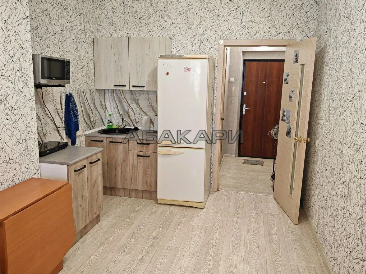 студия улица Вильского, 34  за 28000 руб/мес фото 3