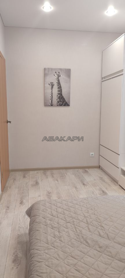 1-комнатная 1-я Хабаровская улица, 7  за 28000 руб/мес фото 7