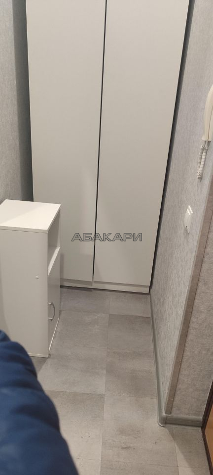 1-комнатная 1-я Хабаровская улица, 7  за 28000 руб/мес фото 9