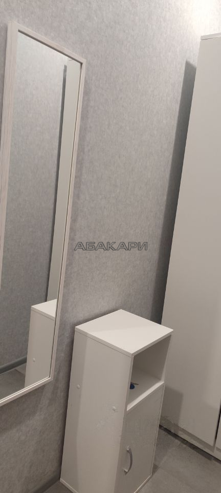 1-комнатная 1-я Хабаровская улица, 7  за 28000 руб/мес фото 10
