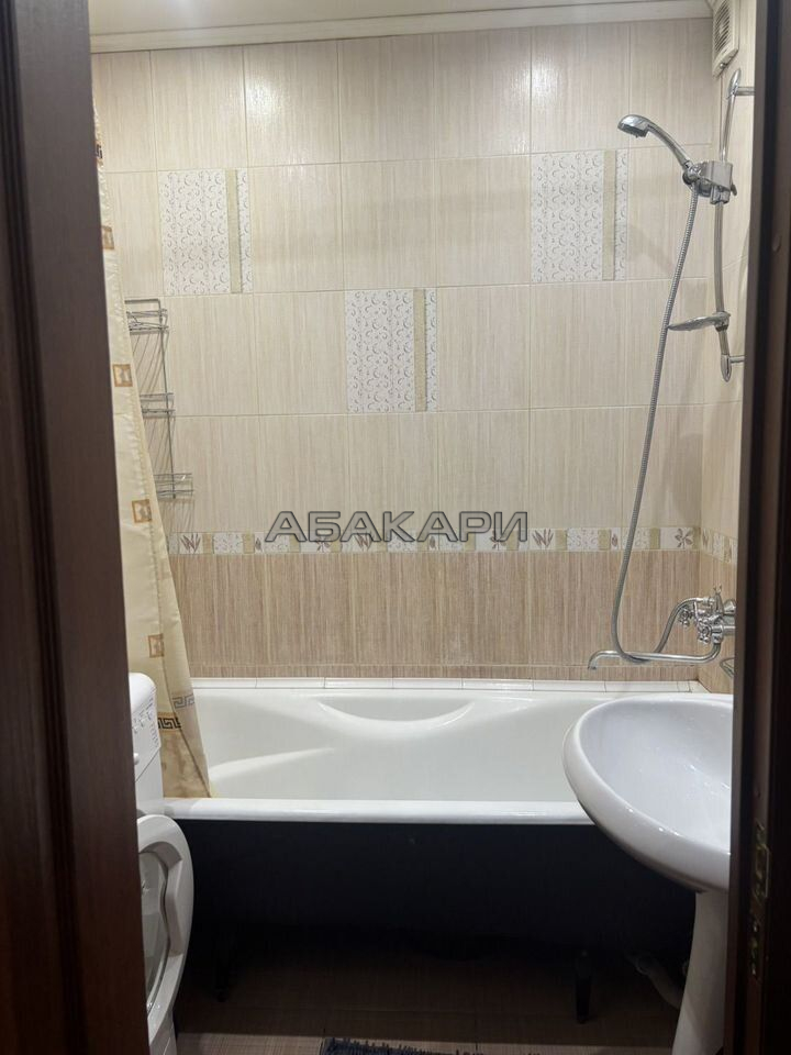 1-комнатная Светлогорский переулок, 10  за 32000 руб/мес фото 7