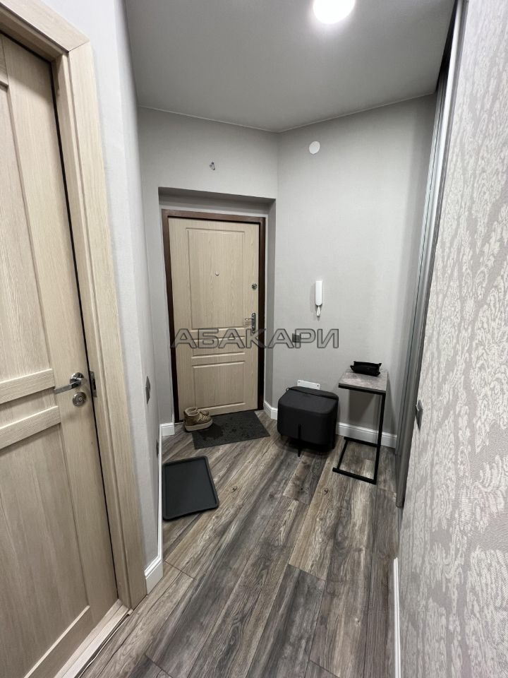 студия Капитанская улица, 14  за 55000 руб/мес фото 10