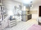 аренда Лесопарковая, 25 студия 24000