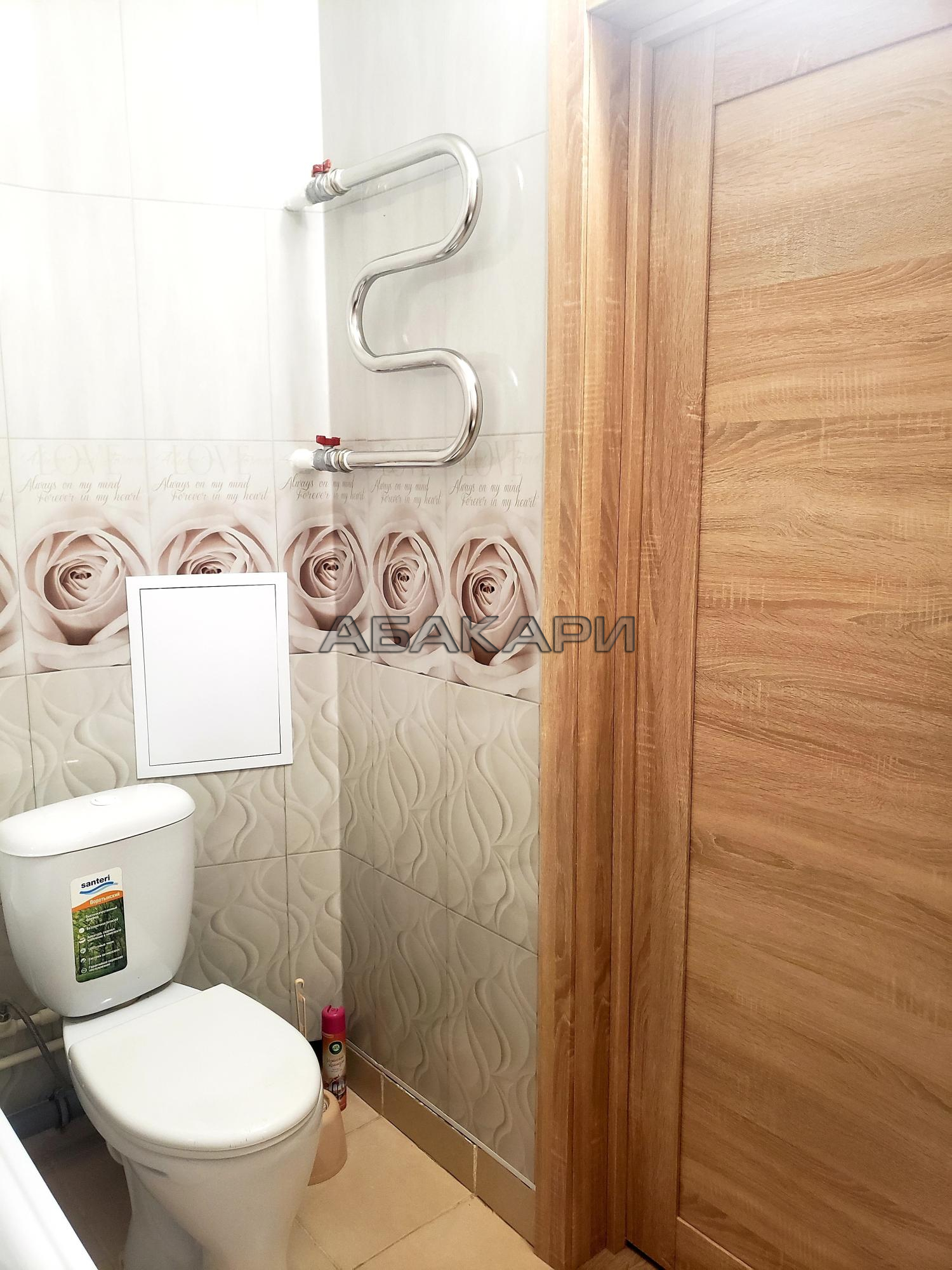 студия Лесопарковая улица, 25  за 24000 руб/мес фото 7