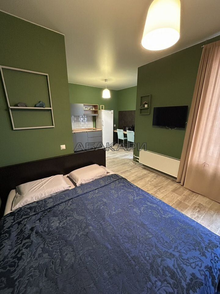 студия улица Алексеева, 46  за 37500 руб/мес фото 1