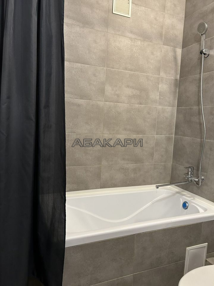 студия улица Алексеева, 46  за 37500 руб/мес фото 4