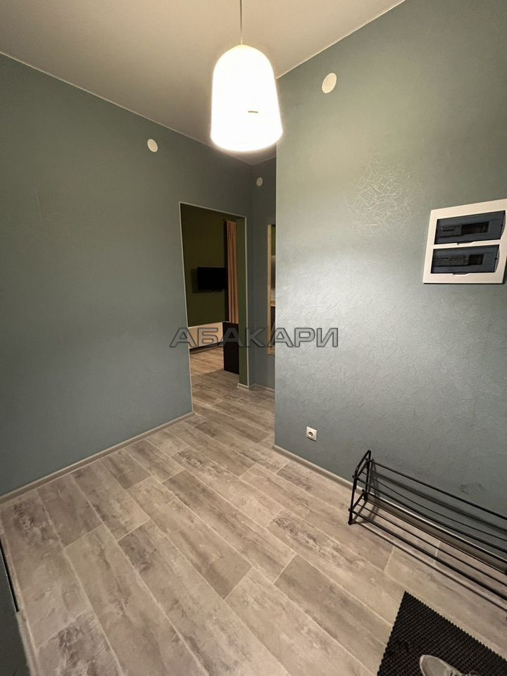 студия улица Алексеева, 46  за 37500 руб/мес фото 5
